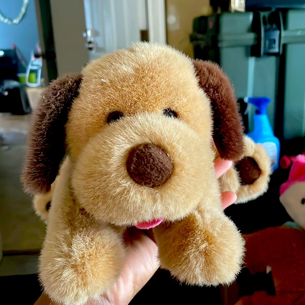 Dog so cute
